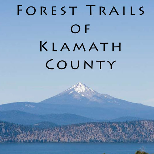 forest-trails-of-klamath-county