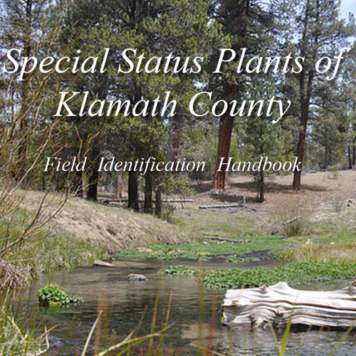 special-status-plants-of-klamath-county