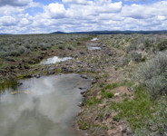 Sycan River Restoration